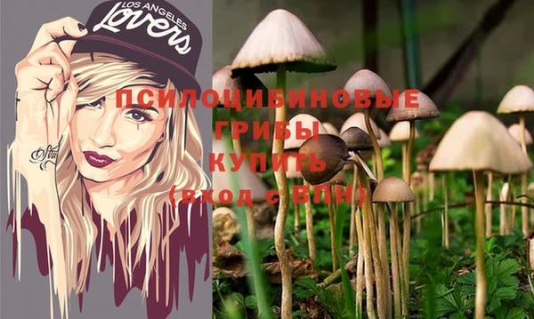МДМА Богданович