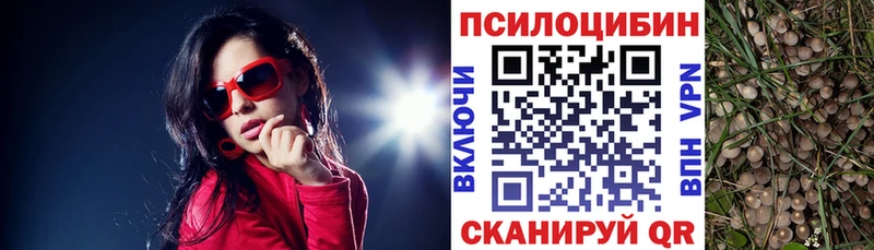 Галлюциногенные грибы мухоморы Мещовск